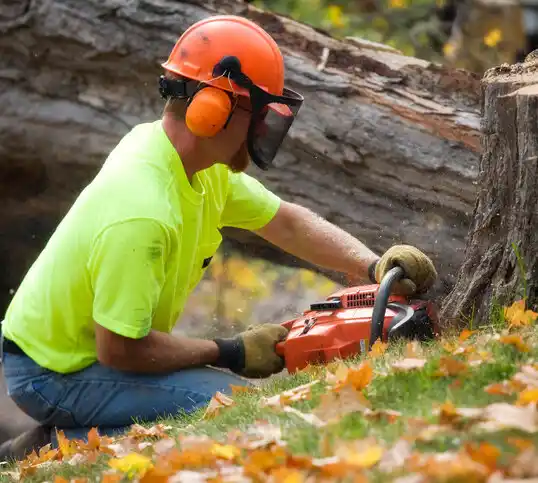 tree services Alma